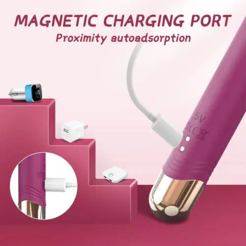 Bliss Point Curve Vibrator Power Charger Pink Adult Luxury