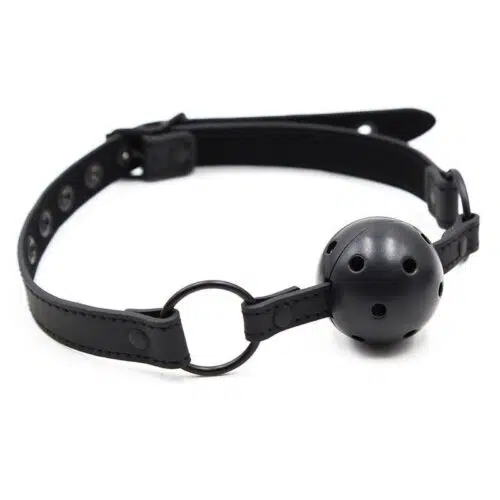 Bound to tease -Ball Gag Adult Luxury