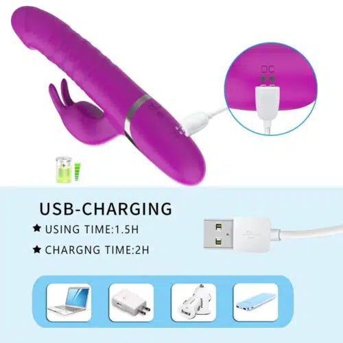 Destiny Thrusting Vibrating Rabbit USB Charger For Vibrator Adult Luxury