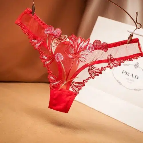 Divine Sensuality Panties (Red) Lingerie Adult Luxury