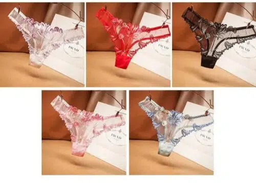 Divine Sensuality Panties ( Different Colors) Sexy Lingerie Adult Luxury
