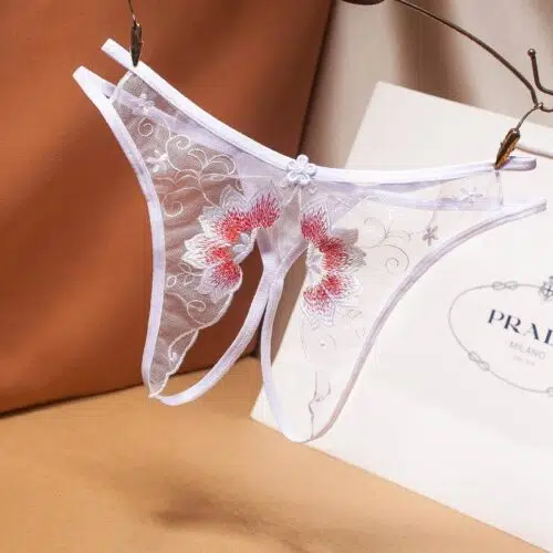 Divine Sensuality Panty Lingerie Adult Luxury