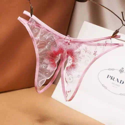 Shasta Sensuality Panties (Pink) Sensual Panties Adult Luxury