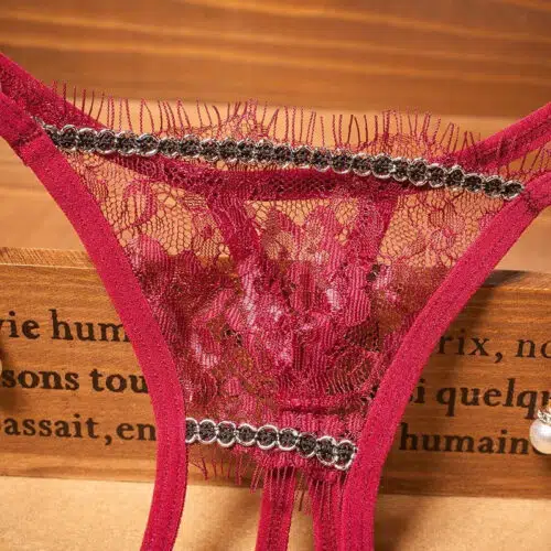 Erotica Luxury Sexy Panties (Red) Close Up Lingerie Adult Luxury
