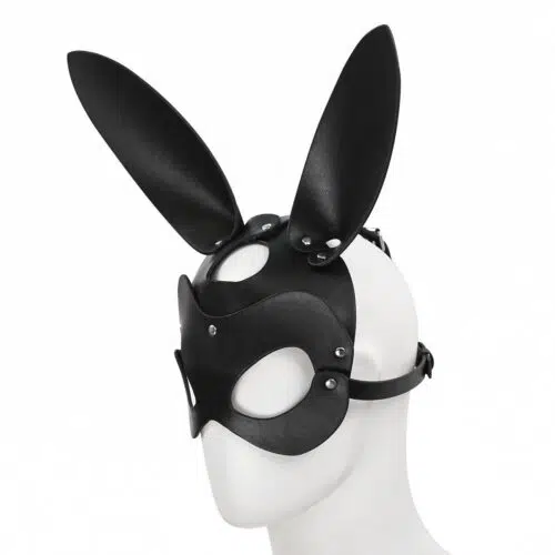 FH Mask Bondage Mask Adult Luxury