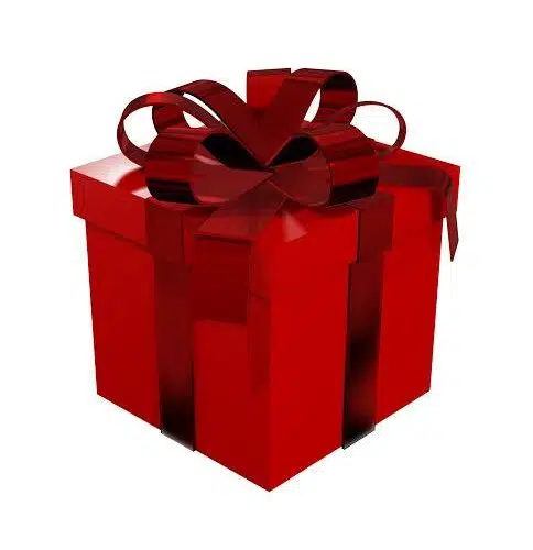 Gift wrapping Adult Luxury