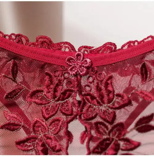 Inviting Luxury Panties ( Red) Front Lingerie Adult Luxury