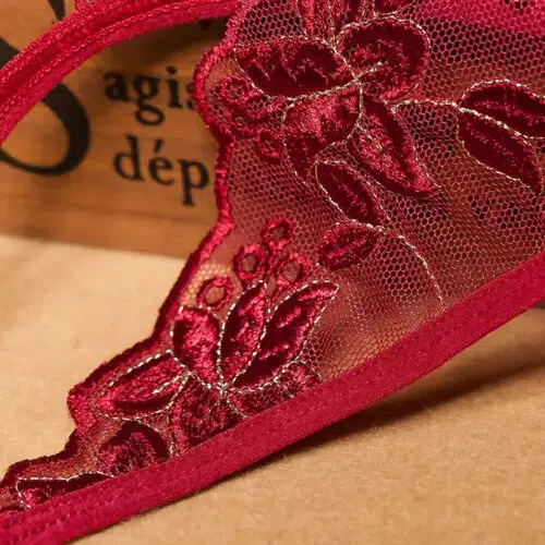 Inviting Luxury Panties ( Red) Close Up Lingerie Adult Luxury