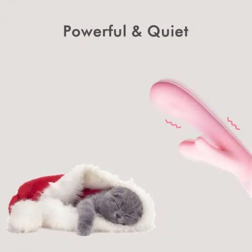 Lottie App Control Vibrator (Pink) Adult Luxury