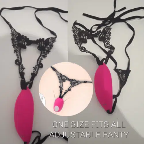 Naughty Secrets Panties + Panty Vibrator Adult Luxury