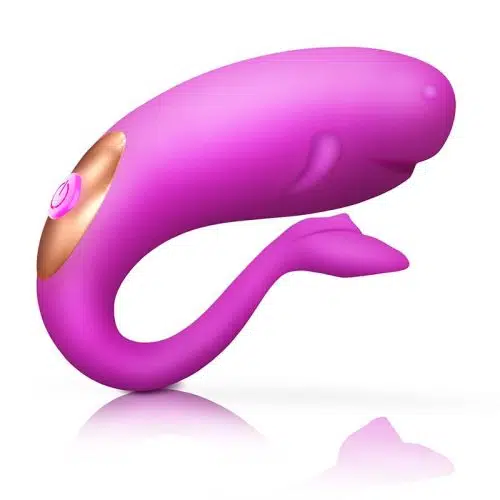 PowerPlay Couples Remote Control Vibrator (Purple) Adult Luxury