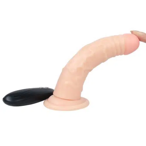 Repairman Glenn Vibrating Remote Dildo Adult Luxury Sex Toys Online Shopping