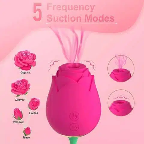 Rose-Le Bella Bio Air Pulsating Vibrator (Pink) Adult Luxury 