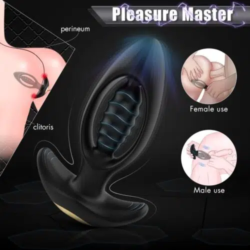 Premium Anal Butt Plug With Remote Control Adult Luxury