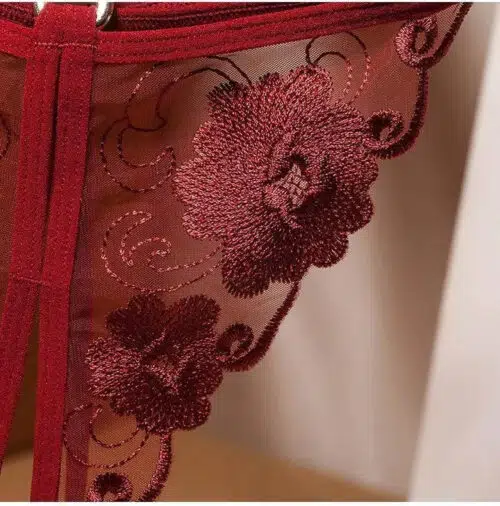 Sexual Desire Panties ( Red& Black) Close Shot Adult Luxury