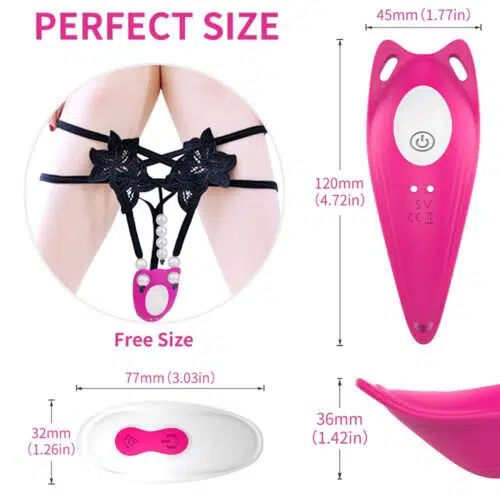 Silent Panties and Vibrator with Remote ( Pink) Adult Luxury