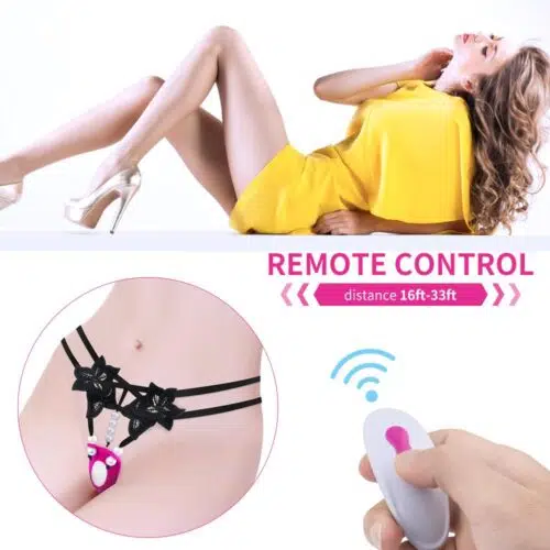 Silent Panties and Vibrator with Remote ( Pink) Adult Luxury