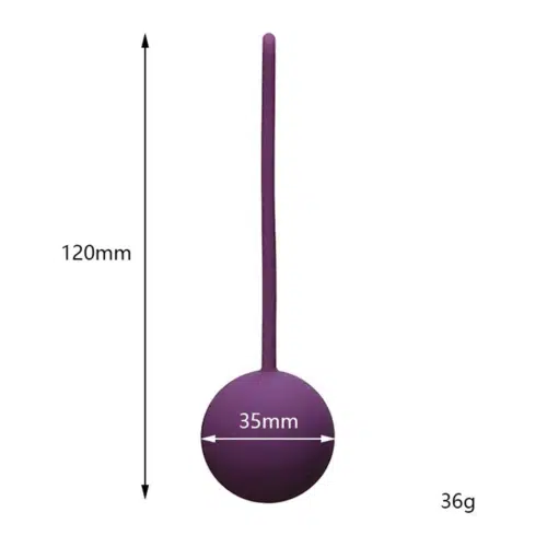Small Medical Kegel Ball (12 cm x 3.5cm) Adult Luxury